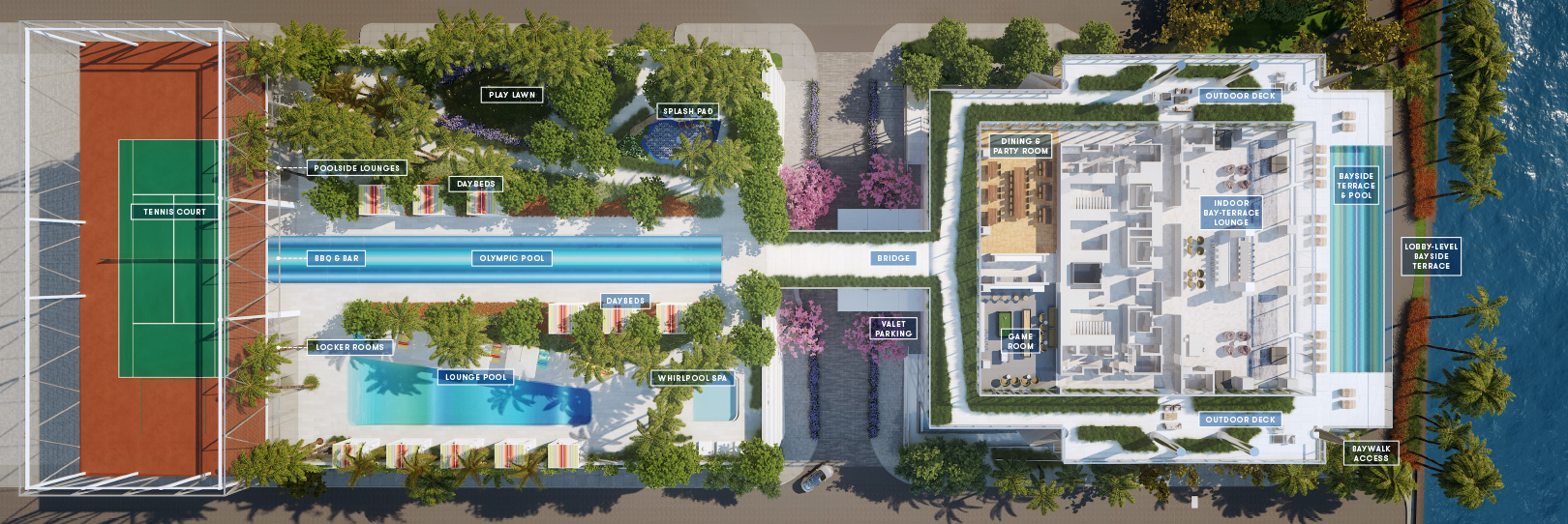 Miami Luxury Condos